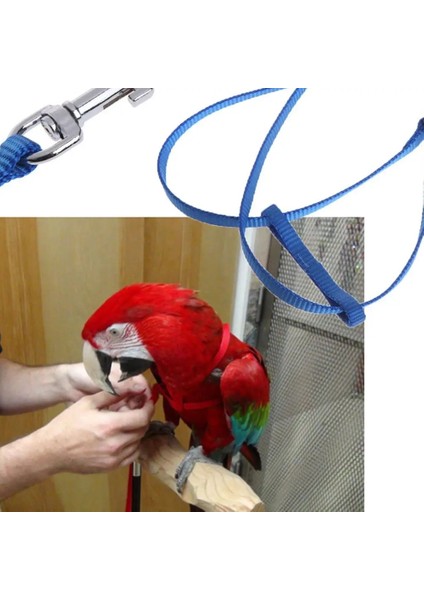 Kırmızı Stil L Beden Papağan Tasma Evcil Hayvan Koşum Açık Ayarlanabilir Anti Bite Eğitim Halatı Uçan Bant (Yurt Dışından) fırsatları