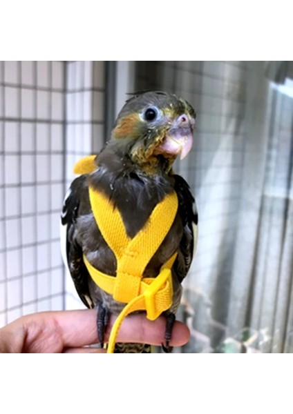 Mor Tarzı Sultan Papağanı Renk Ayarlanabilir Papağan Kuş Koşum Tasma Seti Papağanlar Için Anti-Bite Eğitim Koşum Papağan Kuşları Için Açık Uçan Halat (Yurt Dışından)