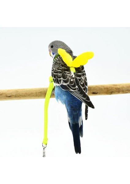 Rastgele Renk Stili Pet Papağan Kuş Koşum Tasma Uçan Halat Sapanlar Açık Eğitim Çekiş Halat Kanat Muhabbet Kuşu Papağan Papağanı Küçük Kuşlar (Yurt Dışından)