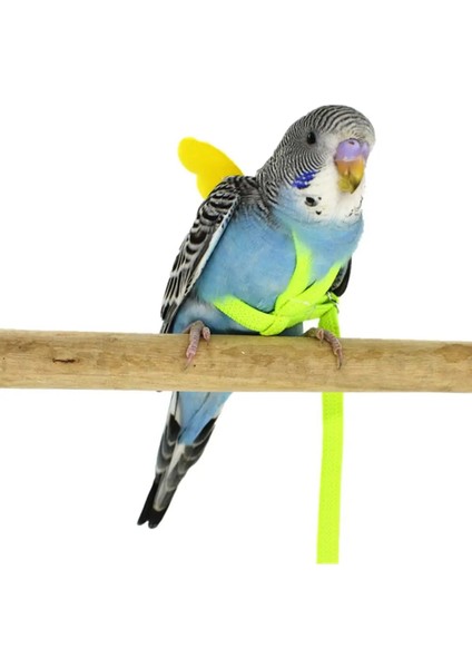 Rastgele Renk Stili Pet Papağan Kuş Koşum Tasma Uçan Halat Sapanlar Açık Eğitim Çekiş Halat Kanat Muhabbet Kuşu Papağan Papağanı Küçük Kuşlar (Yurt Dışından) modelleri