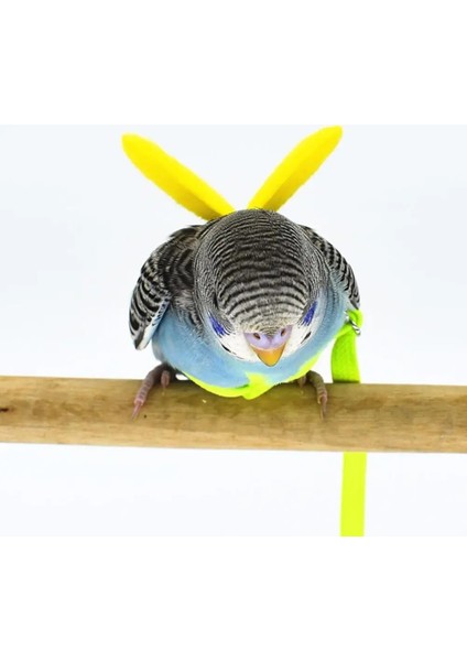 Rastgele Renk Stili Pet Papağan Kuş Koşum Tasma Uçan Halat Sapanlar Açık Eğitim Çekiş Halat Kanat Muhabbet Kuşu Papağan Papağanı Küçük Kuşlar (Yurt Dışından) fırsatları