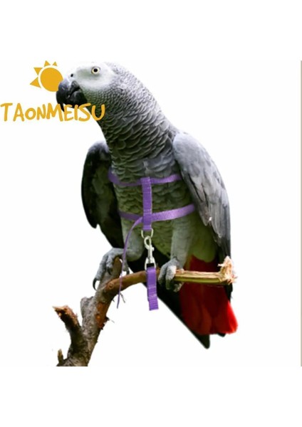 Mavi Stil En Çok Satan Yumuşak Taşınabilir Pet Papağan Kuş Kedi Koşum Tasma Ayarlanabilir Çekiş Kayışı Eğitim Halatı Için (Yurt Dışından) modelleri