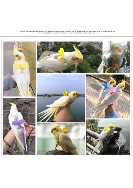 Sarı Stil 27X9CM Ayarlanabilir Papağan Kuş Emniyet Kemeri Eğitim Halatı Açık Uçuş Emniyet Kemeri Şakayık Dolaşım Kuş CA001 (Yurt Dışından) modelleri