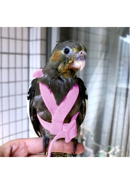 Mavi Stil Papağan Koşum ve Tasma Seti Ayarlanabilir Açık Uçan Eğitim Halatı Küçük Orta Kuşlar Için Kanatlı Papağan, Amerika Papağanı, Budgie (Yurt Dışından)