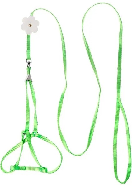 Yeşil Stil Pet Koşum Küçük Evcil Papağan Kuş Parakeet Tasma Açık Ayarlanabilir Askı Eğitim Halatı Uçan Çapraz Bant Yumuşak Renkli (Yurt Dışından)