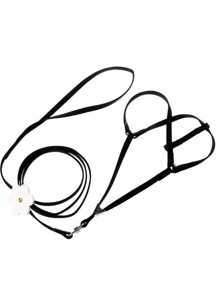 Yeşil Stil Pet Koşum Küçük Evcil Papağan Kuş Parakeet Tasma Açık Ayarlanabilir Askı Eğitim Halatı Uçan Çapraz Bant Yumuşak Renkli (Yurt Dışından) fiyatları