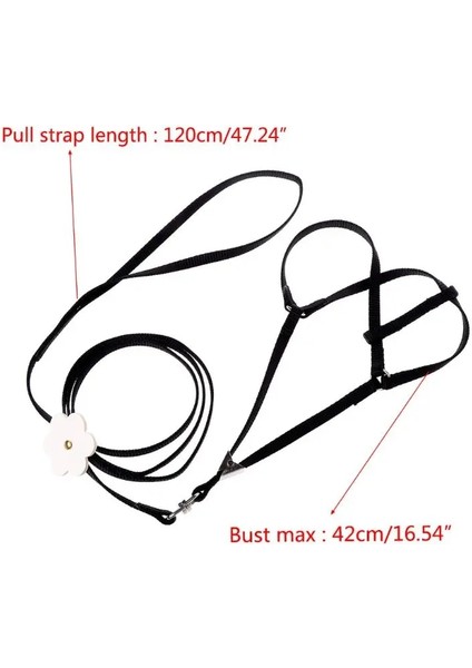 Yeşil Stil Pet Koşum Küçük Evcil Papağan Kuş Parakeet Tasma Açık Ayarlanabilir Askı Eğitim Halatı Uçan Çapraz Bant Yumuşak Renkli (Yurt Dışından) fırsatları