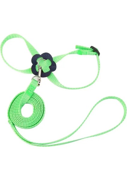Yeşil Stil Papağan Kuş Tasma Eğitim Kurşun Halat Ayarlanabilir Koşum Evcil Hayvanlar Uçan Kedi Kaplumbağalar Tavşanlar Gelincikler Dizginler 8-Şekilli Yaka (Yurt Dışından)