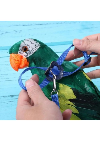 Mavi Stil Papağan Kuş Tasma Anti-Isırık Uçan Eğitim Ipi Papağan Kuş Evcil Hayvan Tasma Kitleri Ultra Hafif Koşum Tasma Yumuşak Taşınabilir Evcil Hayvan Oyuncakları (Yurt Dışından) modelleri