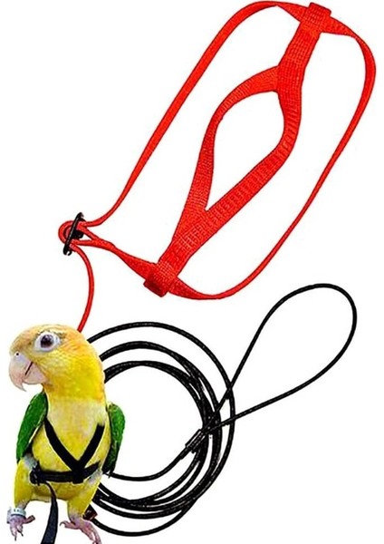 Mavi Stil Xl Beden 2021 Yeni Papağan Kuş Koşum Tasma Açık Uçan Çekiş Kayışları Bant Ayarlanabilir Isırma Önleyici Eğitim Halatı (Yurt Dışından) indirimleri