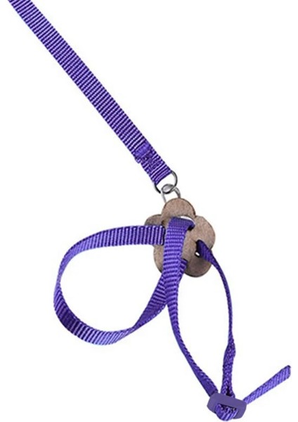 Sarı Stil 1.2m Pet Kuş Koşum ve Tasma Ayarlanabilir Papağan Kuş Koşum Tasma - Pet Isırma Önleyici Eğitim Ipi Açık Hava Uçan Koşum (Yurt Dışından) indirimleri