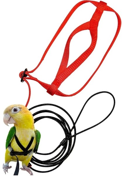 Xs Beden Pet Kuş Koşum ve Tasma, Ayarlanabilir Papağan Kuş Koşum Tasma - Pet Anti-Bite Eğitim Ipi Açık Uçan Koşum ve Tasma (Yurt Dışından)