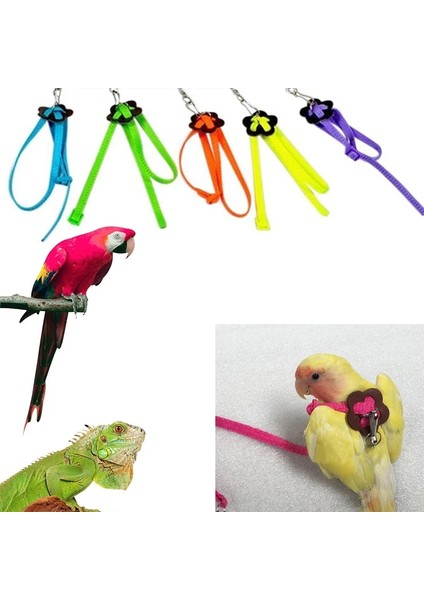 Mor Tarzı Pet Papağan Çekiş Kayışı Pet Anti-Bite Eğitim Halatı Açık Halat Pet Tasma Hamster Için Ayarlanabilir Kuş Koşum, Kertenkele (Yurt Dışından) modelleri