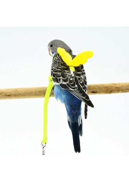 Rastgele Renk Stili Xl Beden Melek Kanadı ile Esnek Papağan Koşum Tasma Açık Eğitim Çekiş Halatı (Yurt Dışından) fiyatları