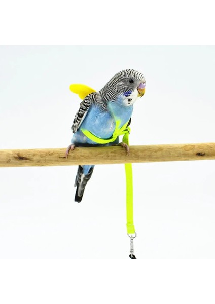 Rastgele Renk Stili Xl Beden Melek Kanadı ile Esnek Papağan Koşum Tasma Açık Eğitim Çekiş Halatı (Yurt Dışından) indirimleri