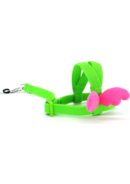 Floresan Yeşil Tarzı M Beden 2 M Anti Bite Uçan Eğitim Halatı Papağan Kuş Tasma Ultralight Koşum Tasma Smallmiddle Kuş Pet Malzemeleri Için Yumuşak Bant C42 (Yurt Dışından)