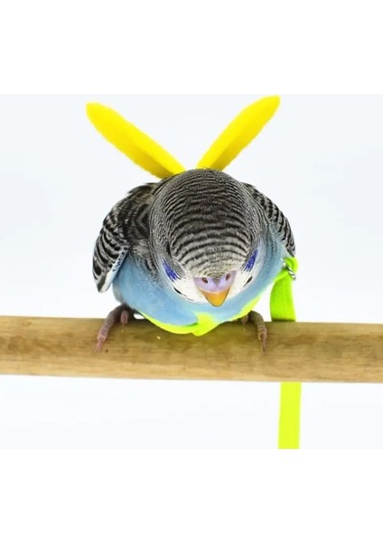 Floresan Yeşil Tarzı M Beden 2 M Anti Bite Uçan Eğitim Halatı Papağan Kuş Tasma Ultralight Koşum Tasma Smallmiddle Kuş Pet Malzemeleri Için Yumuşak Bant C42 (Yurt Dışından) modelleri