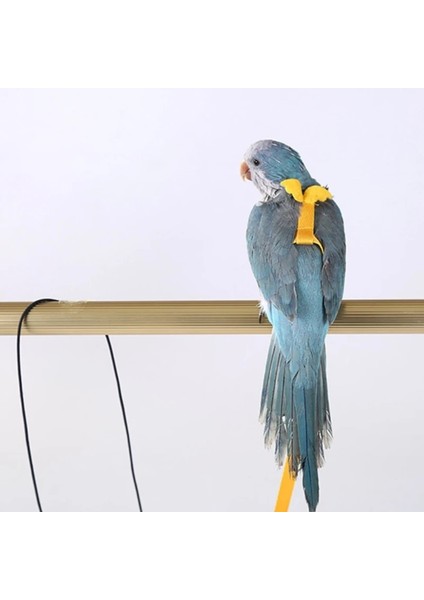 Koyu Yeşil Stil L Beden Papağan Uçan Eğitim Halatı Anti-Bite Kuş Ayarlanabilir Tasma Kitleri Şakayık Papağan Mynah Için Sevimli Kanatlı Eğitim Malzemeleri (Yurt Dışından) fiyatları