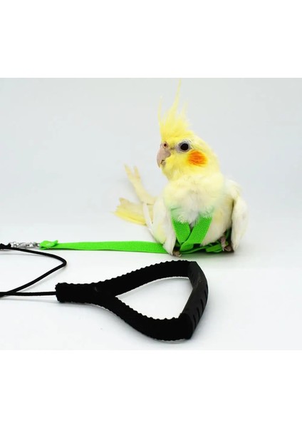 Yeşil Stil Ayarlanabilir Papağan Tasma Pet Kuş Koşum Koşum Eğitim Halatı Uçan Bant Kuş Halat Açık Eğitim Halat Kemer Yürüyüş Kurşun (Yurt Dışından) fırsatları