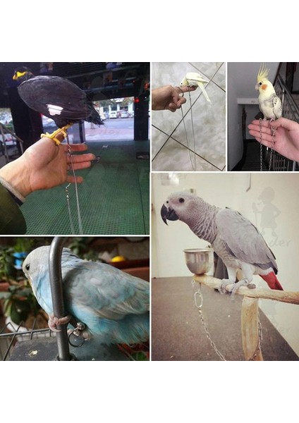 Gri L Tarzı Anti-Bite Uçan Eğitim Halatı Papağan Kuş Koşum Kitleri Ultralight Koşum Kemerleri Ayarlanabilir Pet Kuş Kayışı Halatlar (Yurt Dışından) fiyatları