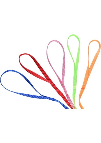 Kızıl Tarzı Ayarlanabilir Pet Papağan Çekiş Kayışı Anti-Bite Eğitim Halatı Açık Halat Hamster Kaplumbağa Kertenkele Pet Tasma Kuş Yaka Koşum (Yurt Dışından) indirimleri