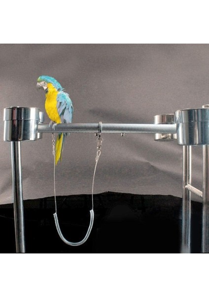 12,5 mm Tarzı 6 M Esnek Papağan Kuş Koşum Tasma Bacak Halkalı Anti-Bite Açık Uçan Eğitim Halatı Kuşlar Için Parakeet Kakadu Papağanı (Yurt Dışından) indirimleri