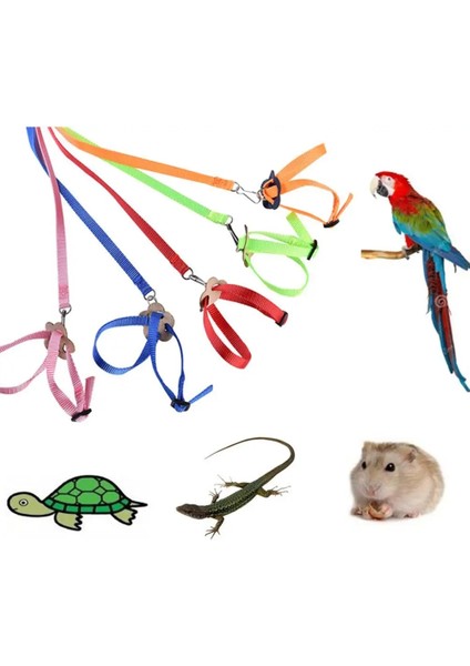 Mavi Stil Ayarlanabilir Pet Kuş Tasma Kiti Anti-Bite Uçan Eğitim Halatı Sürüngen Kertenkele Papağan Kaplumbağa Koşum Çekme Kablosu Halat Pet Tasma (Yurt Dışından) fiyatları