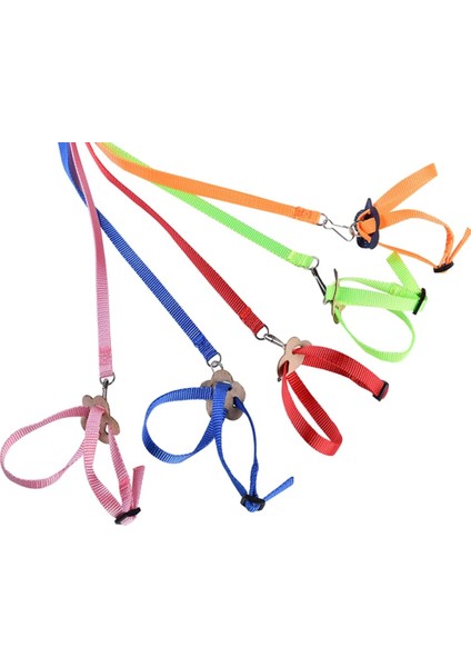 Mavi Stil Ayarlanabilir Pet Kuş Tasma Kiti Anti-Bite Uçan Eğitim Halatı Sürüngen Kertenkele Papağan Kaplumbağa Koşum Çekme Kablosu Halat Pet Tasma (Yurt Dışından) modelleri