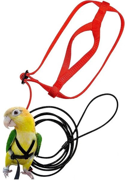 L Tarzı Papağan Koşum ve Tasma Uçan Anti-Isırık Çekiş Halatı Kuş Eğitimi Açık Scarlet Amerika Papağanı Papağan Kuş Pet Ürün Için Taşıma (Yurt Dışından)