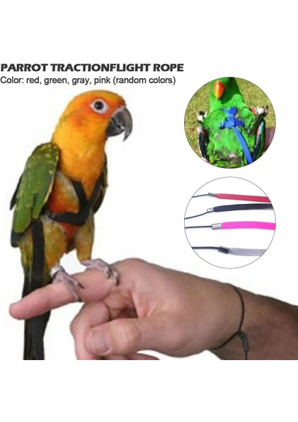 L Tarzı Papağan Koşum ve Tasma Uçan Anti-Isırık Çekiş Halatı Kuş Eğitimi Açık Scarlet Amerika Papağanı Papağan Kuş Pet Ürün Için Taşıma (Yurt Dışından) modelleri