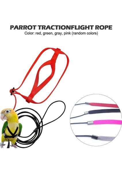 L Tarzı Papağan Koşum ve Tasma Uçan Anti-Isırık Çekiş Halatı Kuş Eğitimi Açık Scarlet Amerika Papağanı Papağan Kuş Pet Ürün Için Taşıma (Yurt Dışından) indirimleri