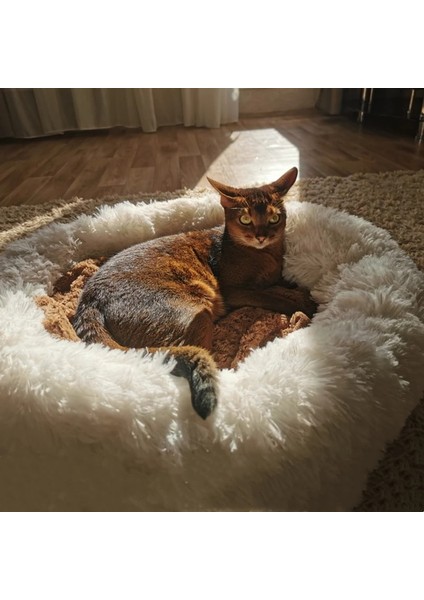 Sarı Stil 30CM Süper Yumuşak Köpek Yatağı Peluş Kedi Mat Köpek Yatakları Büyük Köpekler Için Yatak Labradors Evi Yuvarlak Yastık Pet Ürün Aksesuarları (Yurt Dışından) modelleri