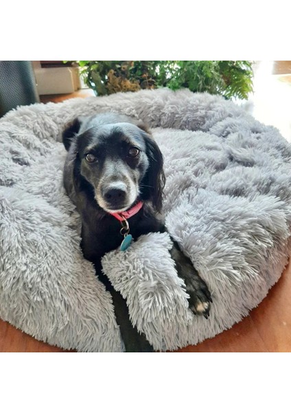 Sarı Stil 30CM Süper Yumuşak Köpek Yatağı Peluş Kedi Mat Köpek Yatakları Büyük Köpekler Için Yatak Labradors Evi Yuvarlak Yastık Pet Ürün Aksesuarları (Yurt Dışından) fırsatları