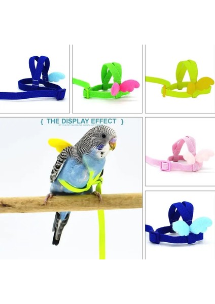 Mavi Stil S Beden 2 M Anti Bite Uçan Eğitim Halatı Papağan Kuş Tasma Ultralight Koşum Tasma Smallmiddle Kuş Pet Malzemeleri Için Yumuşak Bant (Yurt Dışından) modelleri