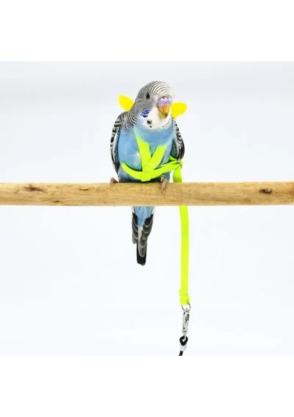 Mavi Stil S Beden 2 M Anti Bite Uçan Eğitim Halatı Papağan Kuş Tasma Ultralight Koşum Tasma Smallmiddle Kuş Pet Malzemeleri Için Yumuşak Bant (Yurt Dışından) fırsatları