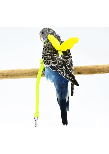 Mavi Stil S Beden 2 M Anti Bite Uçan Eğitim Halatı Papağan Kuş Tasma Ultralight Koşum Tasma Smallmiddle Kuş Pet Malzemeleri Için Yumuşak Bant (Yurt Dışından) indirimleri