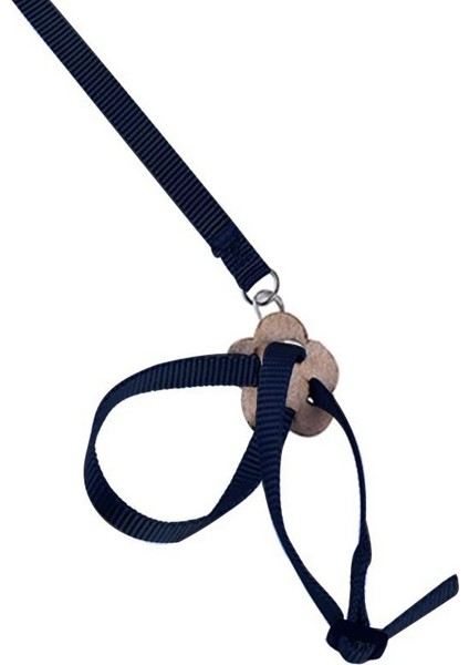 Pembe Tarzı 1.2m Pet Kuş Koşum ve Tasma Ayarlanabilir Papağan Kuş Koşum Tasma - Pet Isırma Önleyici Eğitim Ipi Açık Hava Uçan Koşum (Yurt Dışından) fiyatları
