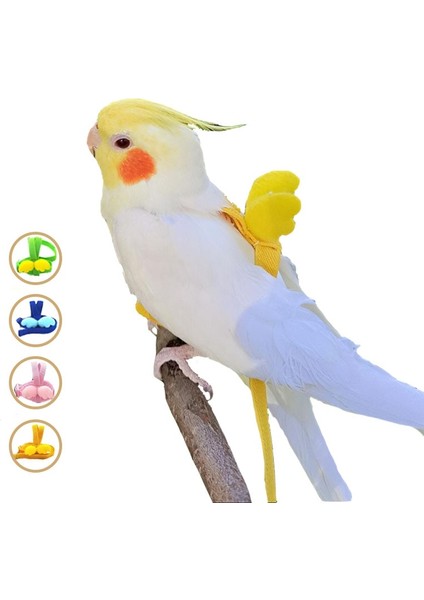 Sarı Stil M Beden 2m Ayarlanabilir Kuş Papağan Koşum Tasma Kiti Açık Uçan Eğitim Halatı Kanatlı Küçük Orta Kuş Papağanı Budgie Oiseaux (Yurt Dışından)