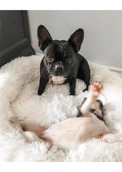 Gradyan Gri Stili S-50CM Köpek Yatağı Yumuşak Kabarık Kedi Yatakları Uzun Peluş Dounts Yatakları Sakinleştirici Yatak Hondenmand Pet Kulübesi Küçük Büyük Köpek Kedileri Için Ev Minderi (Yurt Dışından) fırsatları