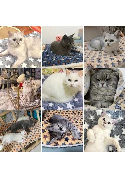 Desen 6 Stili S 32X25CM Köpek Yatağı Kedi Mat Yumuşak Pet Battaniye Yatak Aksesuarları Malzemeleri Kışın Sıcak Tutmak Pet Uyku Mat Kanepe Isıtıcı Için Pet Malzemeleri (Yurt Dışından) fırsatları