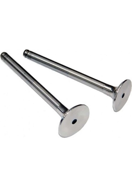 Subap Emme Eksoz KNG-EXP-R19 F8Q-MGN-LGN 1.9 00 In-4/ex-4 18051