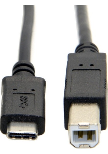 Tip C Erkek Konnektör USB 2.0 B Tipi Erkek Veri Kablosu Adaptörü Cep Telefonu Yazıcı Sabit Disk Dosya Transferi Hızlı Kablo 1 M 3 Ft (Yurt Dışından) fiyatları