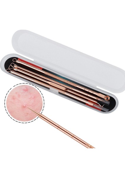 Iğne Alet Takımı Cilt Bakımı Aracı (Yurt Dışından) modelleri