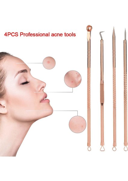 4 Adet/Takım Paslanmaz Çelik Gül Çift Kafa Iğneler(Yurt Dışından) fiyatları