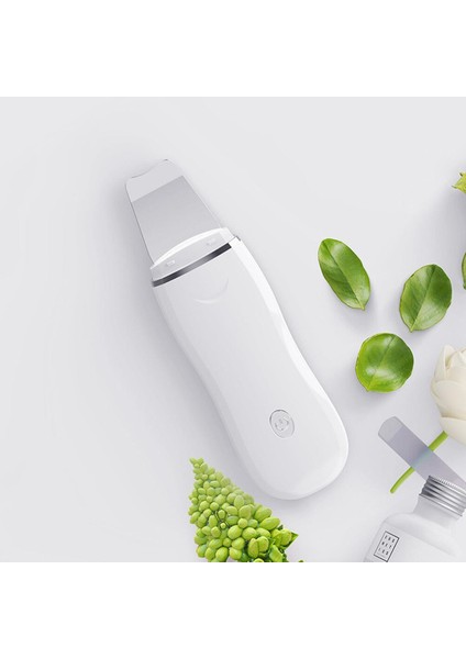 Ultrasonik Cilt Temizleyici (Yurt Dışından)