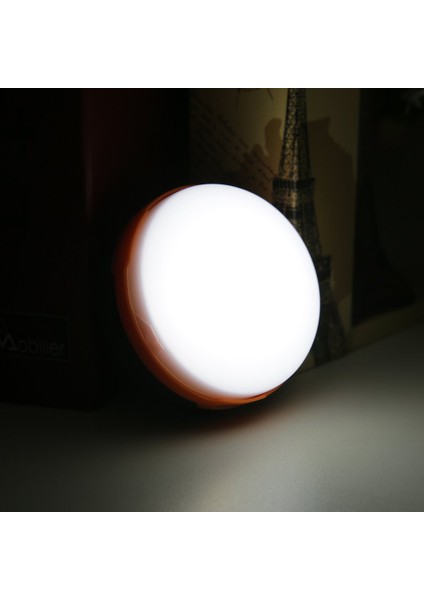 Te 1 Adet 3led Taşınabilir Çadır Fener Işığı Lambası Kamp Yürüyüş Balıkçılık Açık Hava (Yurt Dışından)