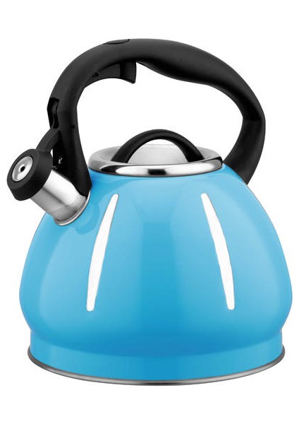3.4l Paslanmaz Çelik Su Isıtıcısı, Kalınlaştırılmış Alt Hızlı Isı Iletimi Büyük Kapasiteli Su Isıtıcısını Islık Çalabilir (Yurt Dışından)