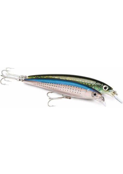 Rapala X-Rap Saltwater Maket Balık BNK-100MM