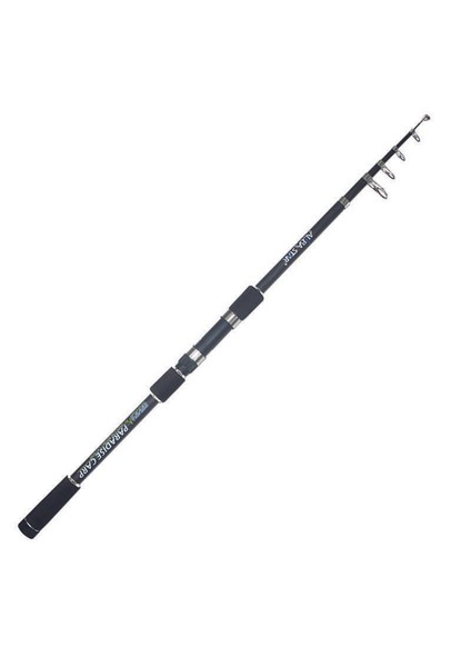 Paradise Carp 2231 Sazan Olta Kamışı STANDART-300CM