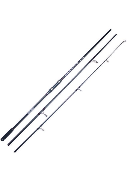 Carpion 2911 Sazan Kamışı STANDART-360CM
